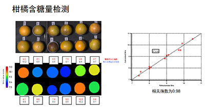 MV.C機器視覺高光譜成像系統(tǒng)及其應用